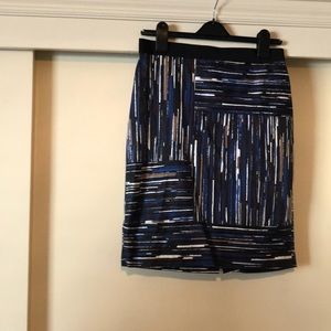 Ann Taylor Skirt